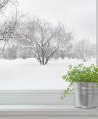Fenetre_paysage_hiver