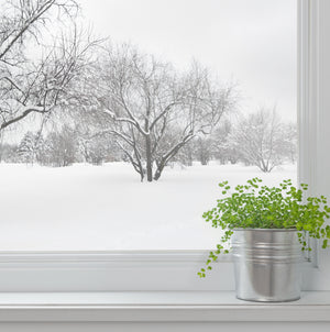 Fenetre_paysage_hiver