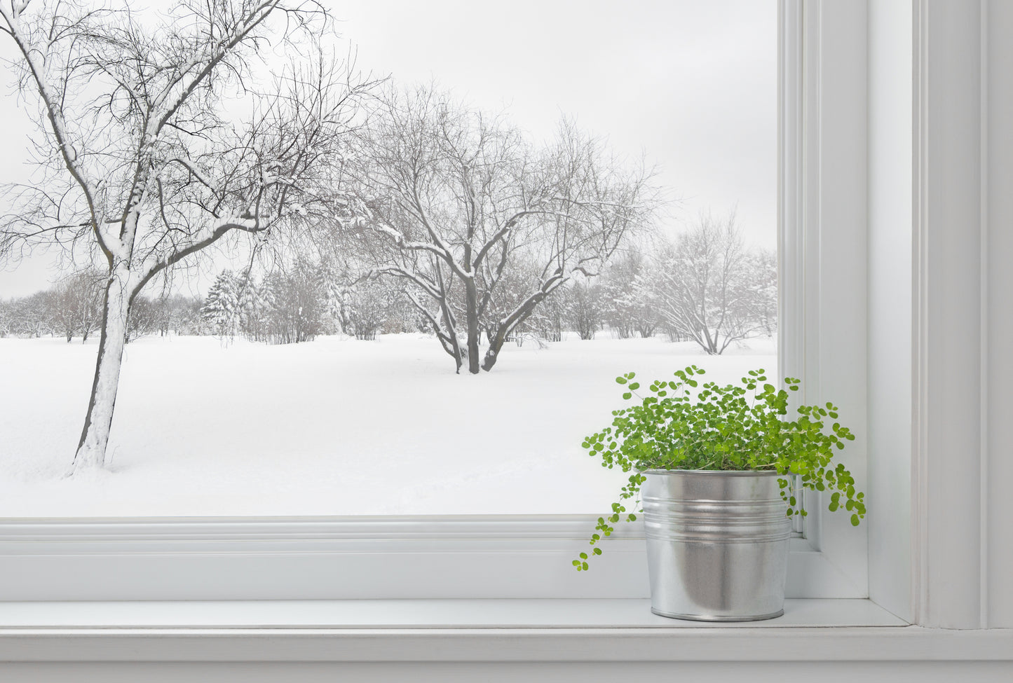 Fenetre_paysage_hiver