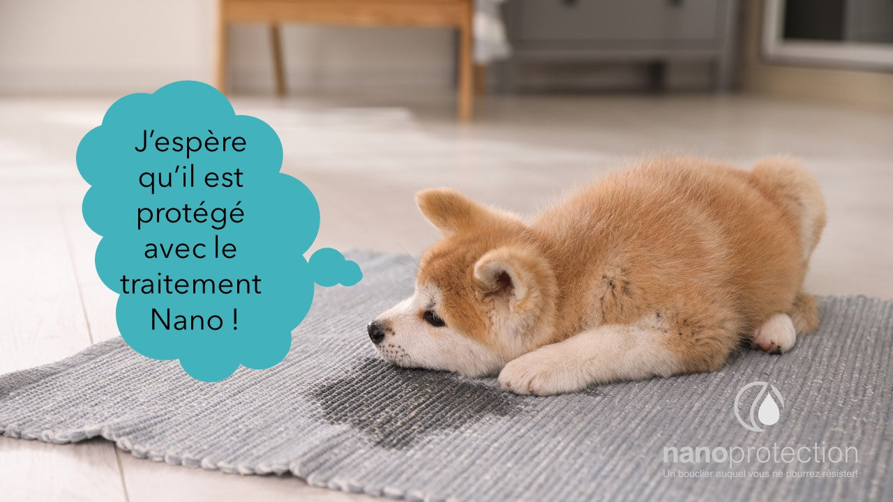 Protection complète pour le verre, la céramique, le miroir, le textile et le cuir - Nano