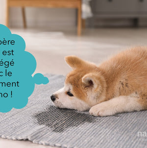Protection complète pour le verre, la céramique, le miroir, le textile et le cuir - Nano