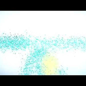 vid