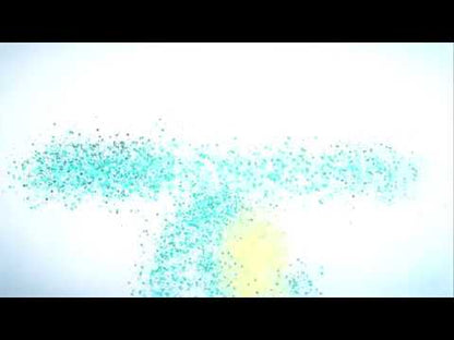 vid